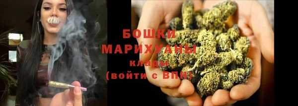круглые Пересвет
