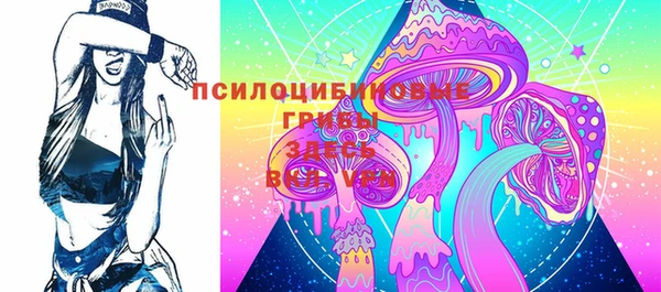 круглые Пересвет