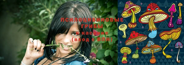 мет Пестово