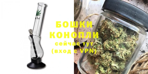 прущие грибы Покров