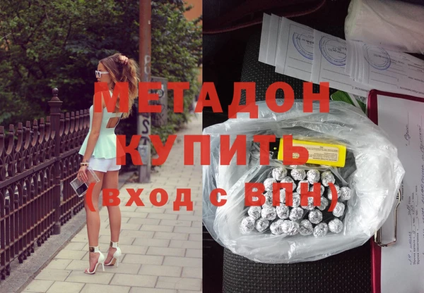 прущие грибы Покров