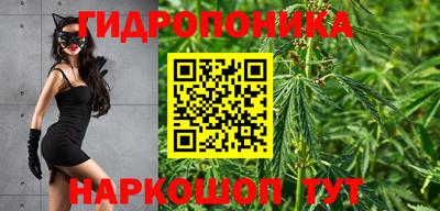 меф Кингисепп