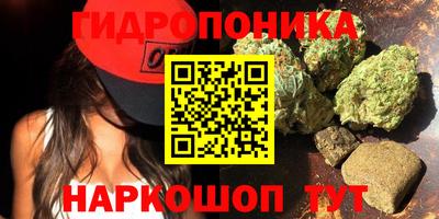a pvp Кинель