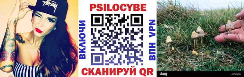 blacksprut ССЫЛКА  наркотики  Новокубанск  Псилоцибиновые грибы Magic Shrooms 