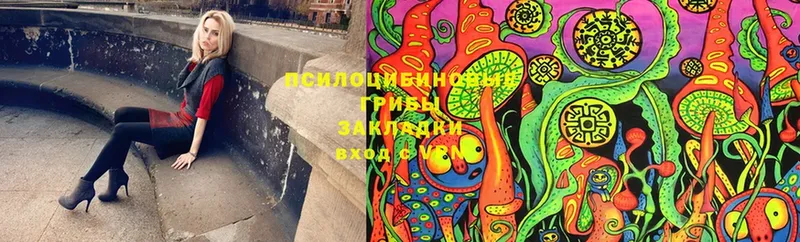 Галлюциногенные грибы Cubensis  Новокубанск 