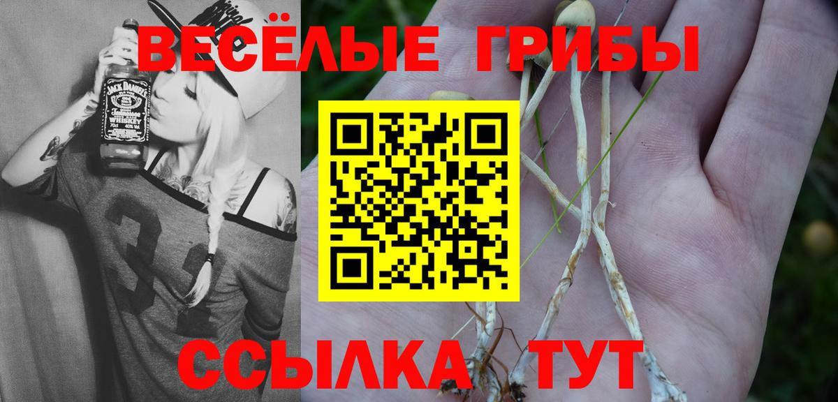 Галлюциногенные грибы Magic Shrooms  Галлюциногенные грибы GOLDEN TEACHER  Новокубанск  где купить наркоту  Вход с VPN 